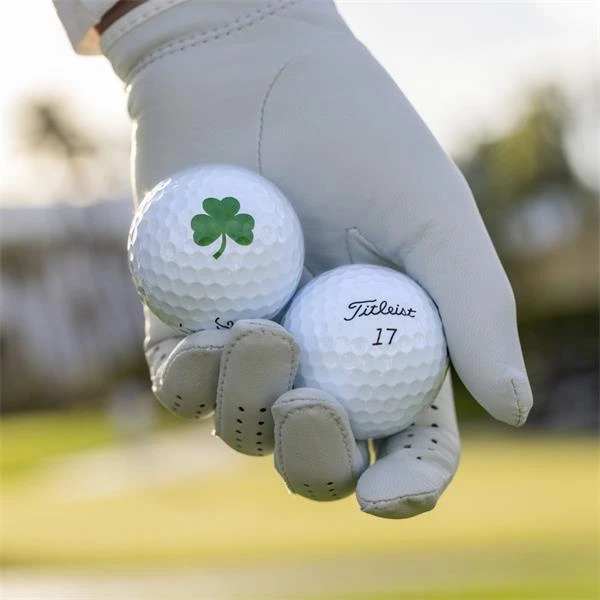 Titleist Shamrock Pro V1 Half Dozen Balls White - Image 4
